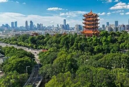 德州扑克斗牛牛-德州扑克与斗牛，策略与技巧的碰撞