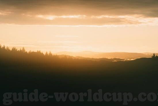 世界杯阿根延对法国-世界杯，阿根廷与法国的巅峰对决